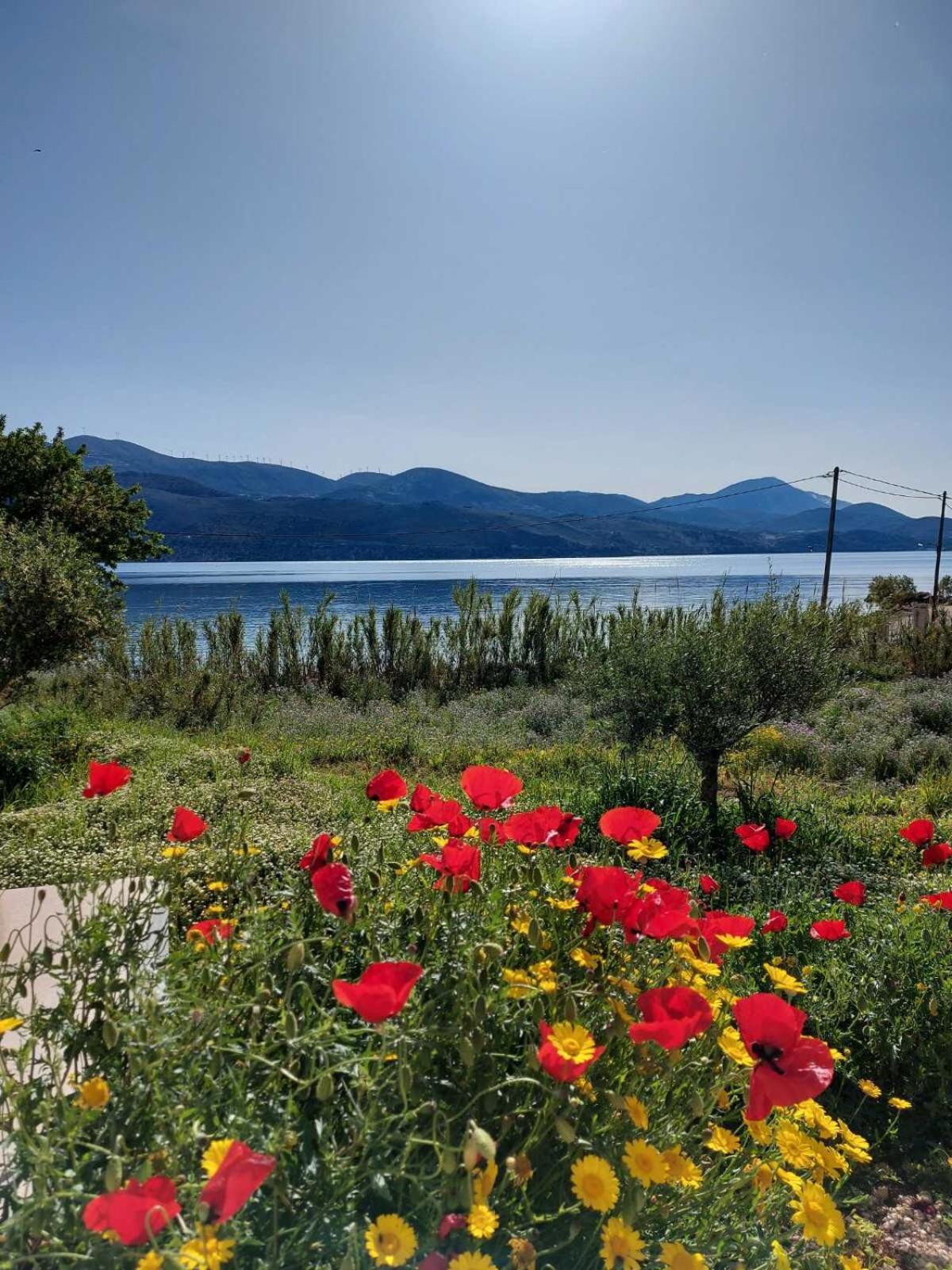 Apollonides Seafront Villa 2 Melete リクスリオン エクステリア 写真
