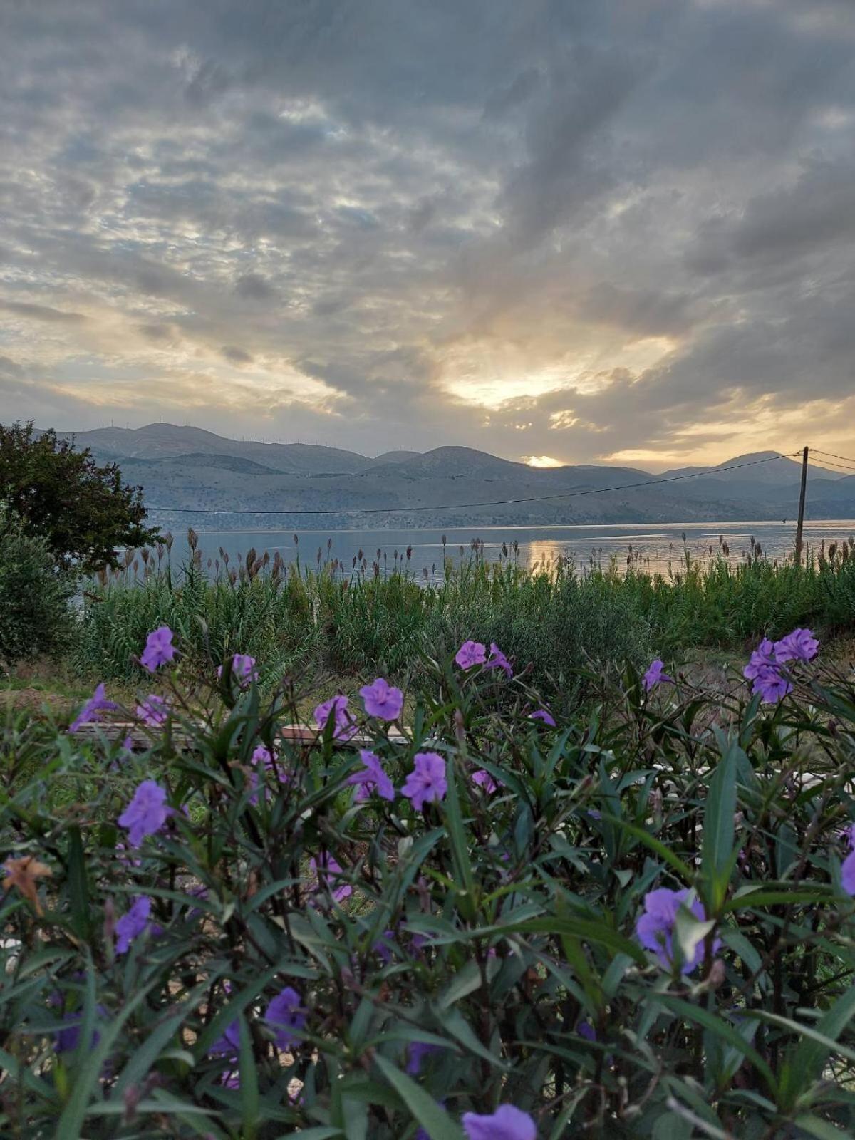 Apollonides Seafront Villa 2 Melete リクスリオン エクステリア 写真